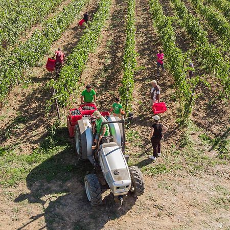 Il Querciolo - Azienda Biologica, Agriturismo E Cantina Marciano della Chiana Dış mekan fotoğraf