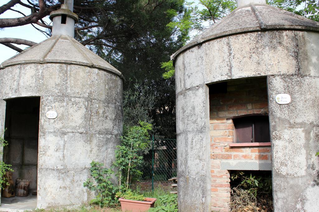 Il Querciolo - Azienda Biologica, Agriturismo E Cantina Marciano della Chiana Dış mekan fotoğraf