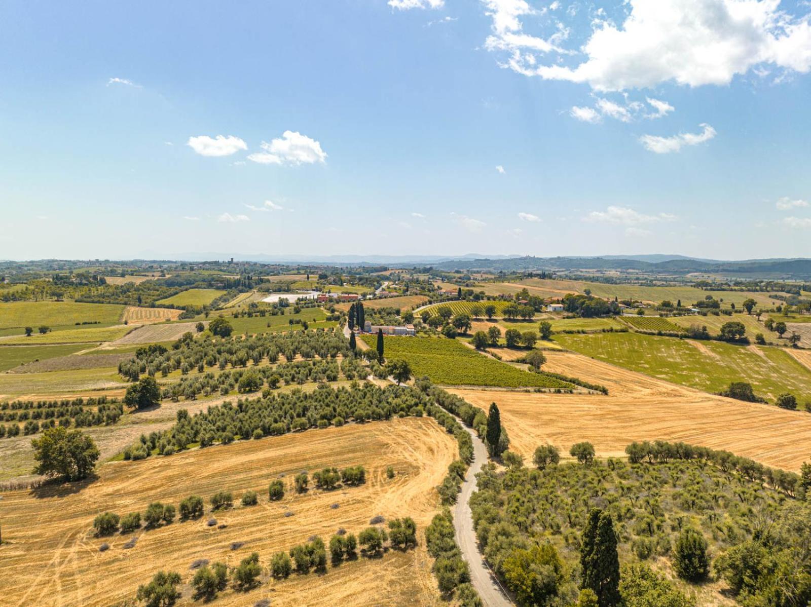 Il Querciolo - Azienda Biologica, Agriturismo E Cantina Marciano della Chiana Dış mekan fotoğraf